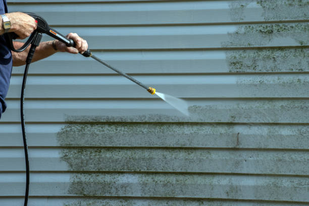 Best Roof Power Washing Services  in Grant, MN