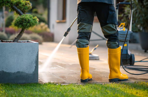 Best Pressure Washing Driveway  in Grant, MN